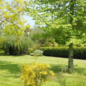 Vue du parc